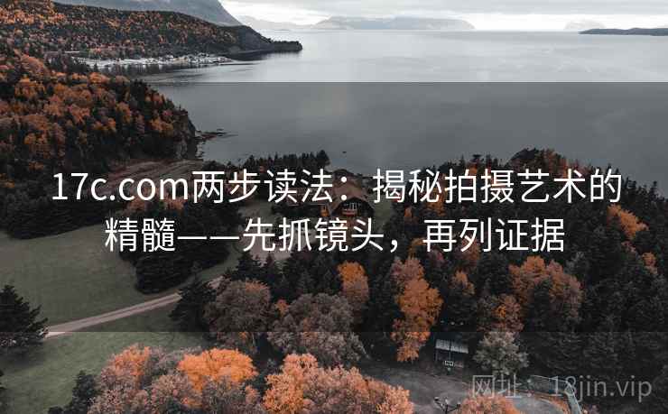 17c.com两步读法：揭秘拍摄艺术的精髓——先抓镜头，再列证据