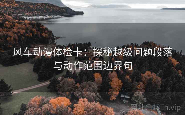 风车动漫体检卡:探秘越级问题段落与动作范围边界句