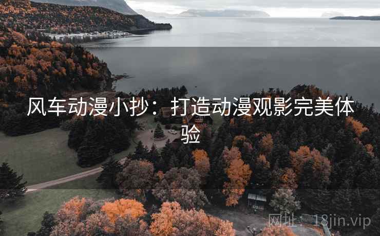 风车动漫小抄:打造动漫观影完美体验