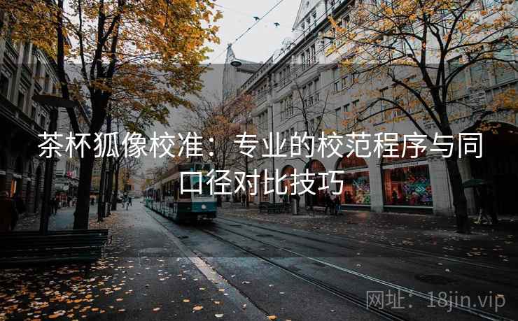 茶杯狐像校准：专业的校范程序与同口径对比技巧  第2张